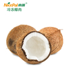 Frozen Coconut Meat (Kernel/ Copra)