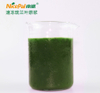 NFC Frozen Pandan Leaf Pulp