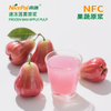 NFC Frozen Wax Apple Pulp ( Wax Jambu)