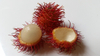 Rambutan Powder (Hairy Lychee)