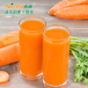 NFC Frozen Carrot Pulp