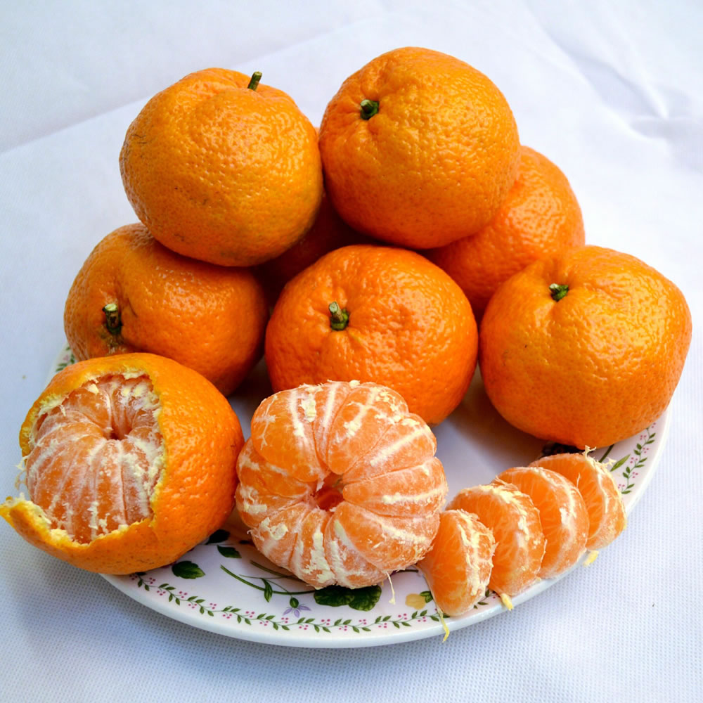 satsuma mandarin