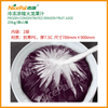 Frozen Concentrated Red Dragon Fruit Juice