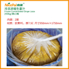 Frozen Concentrated Ginger Juice 