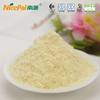 Wholesale Lemon Powder in Bulk for Food