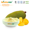 Jackfruit Powder