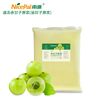 NFC Frozen Emblica Pulp ( Amla / Indian Gooseberry) 