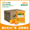 NFC Frozen Clementine Pulp