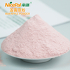 Wax Apple Juice Powder ( Wax Jambu )
