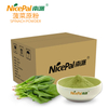 Spinach Powder 