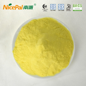 Orange Extract Powder for Beverage with Kosher Halal Certificate
