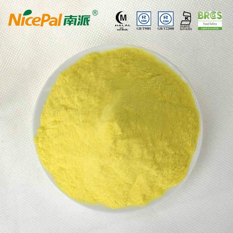 Orange Extract Powder for Beverage with Kosher Halal Certificate