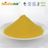 Dried Mango Juice Powder 