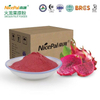 Red Dragon Fruit Powder 