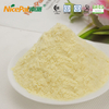 Wholesale Lemon Powder in Bulk for Food