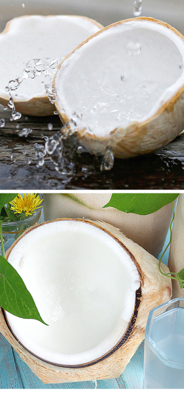 Frozen Young Coconut Meat (Kernel/ Copra)