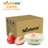 Wax Apple Juice Powder ( Wax Jambu )