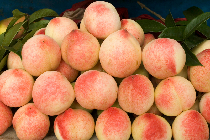 NFC Frozen Honey Peach Pulp 