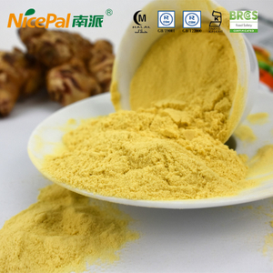 Spray Dried Ginger Powder with Good Price 