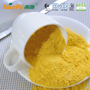 Dry Natural Pumpkin Powder for Dogs