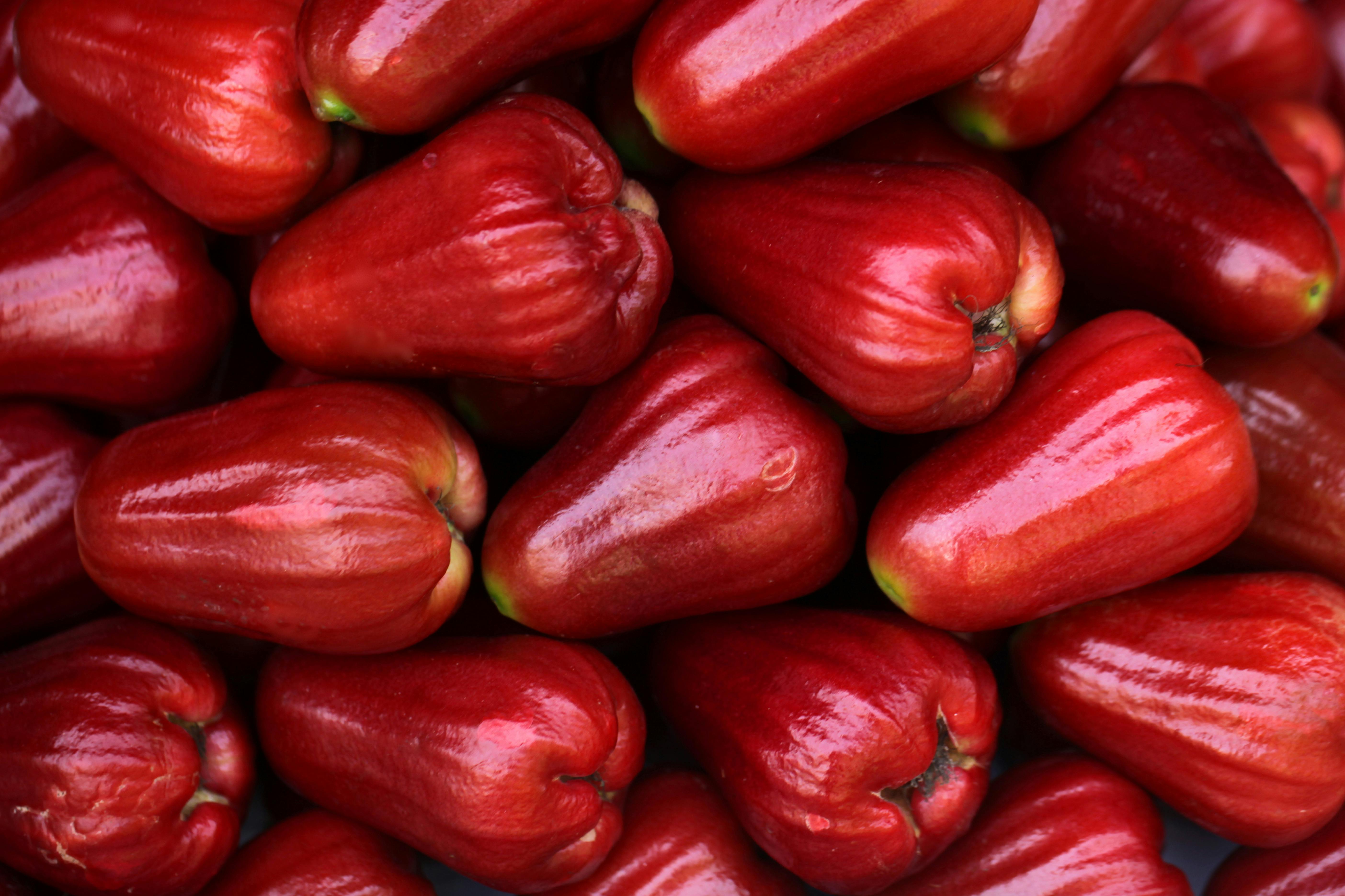 Wax Apple Juice Powder ( Wax Jambu )