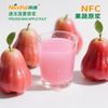 NFC Frozen Wax Apple Pulp ( Wax Jambu)