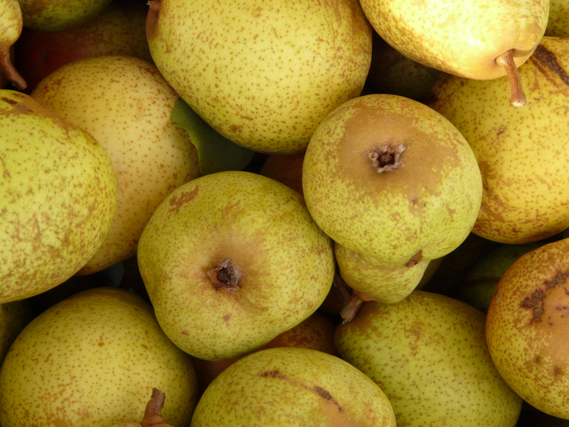Asian Pear Powder 