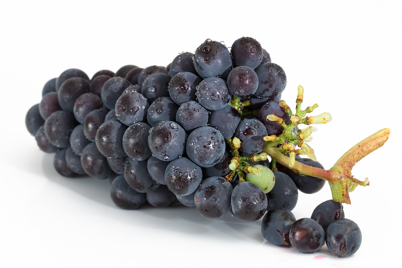 grapes-2032838_1280