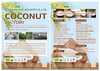 Coconut Product List 2024