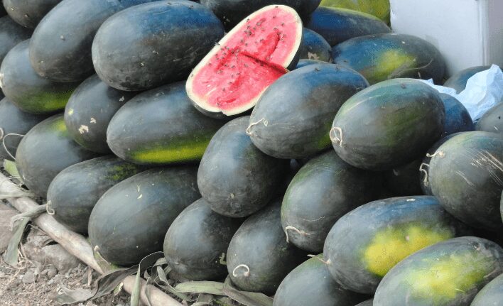 Black-Diamond-Watermelons