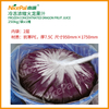 Frozen Concentrated Red Dragon Fruit Juice