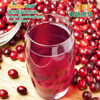 NFC Frozen Cranberry Pulp