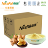 Spray Dried Ginger Powder with Good Price 