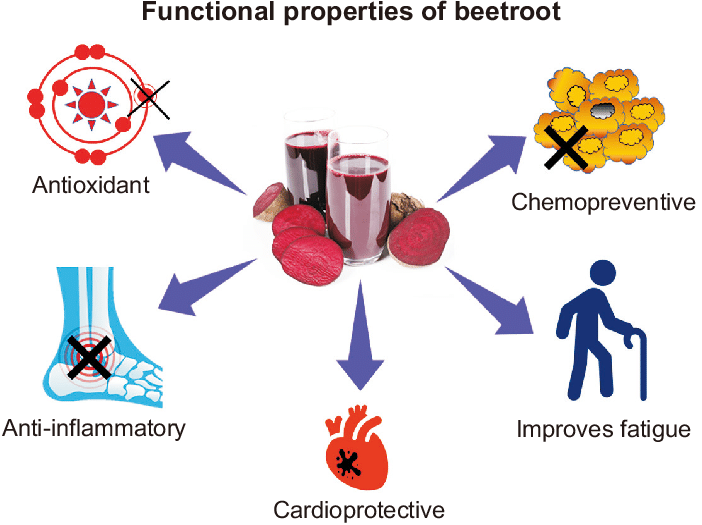 Functional-properties-of-beetroot