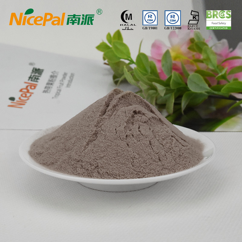 Bulk Noni Supplement Powder for Health
