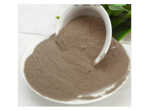 Noni powder