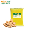 Quick Frozen Ginger Pulp - NFC Fruit And Vegetable Pulp