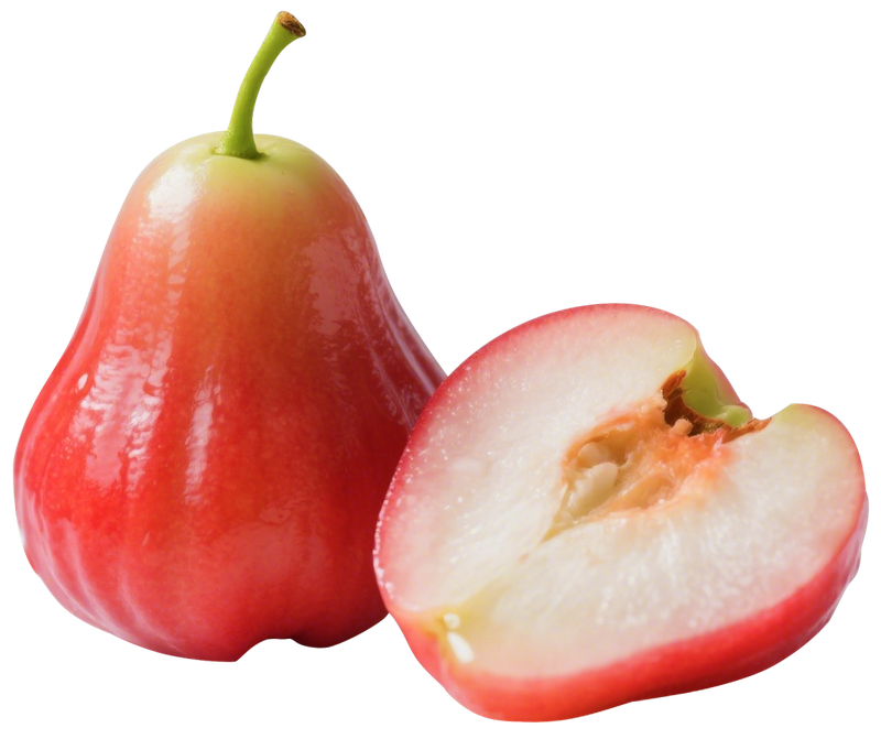 Frozen Concentrated Wax Apple Juice (Wax Jambu)