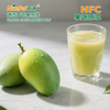 NFC Frozen Green Mango Pulp ( Keitt Mango Puree)