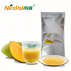 Dried Mango Juice Powder 