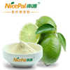 Wholesale Lemon Powder in Bulk for Food