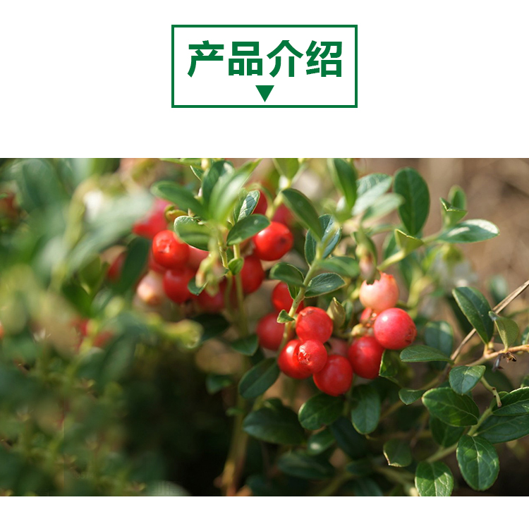 15KG蔓越莓原粉详情页_02