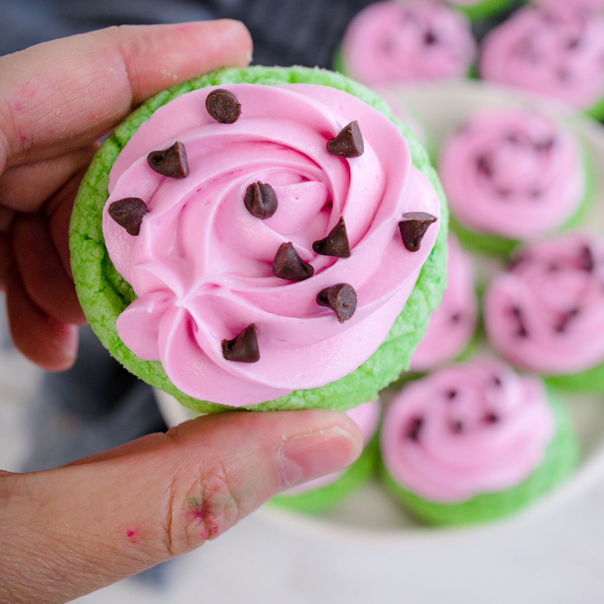 Watermelon-Cookies_Best-Cookie-Recipes-203