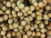 Longan Powder
