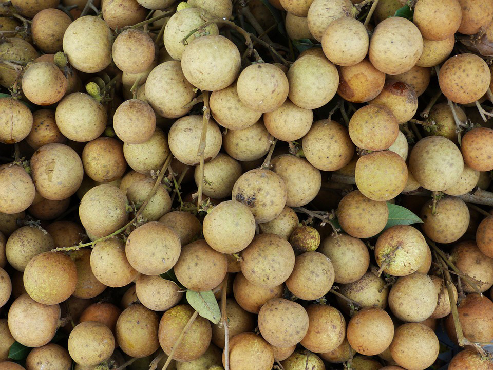 longon fruit