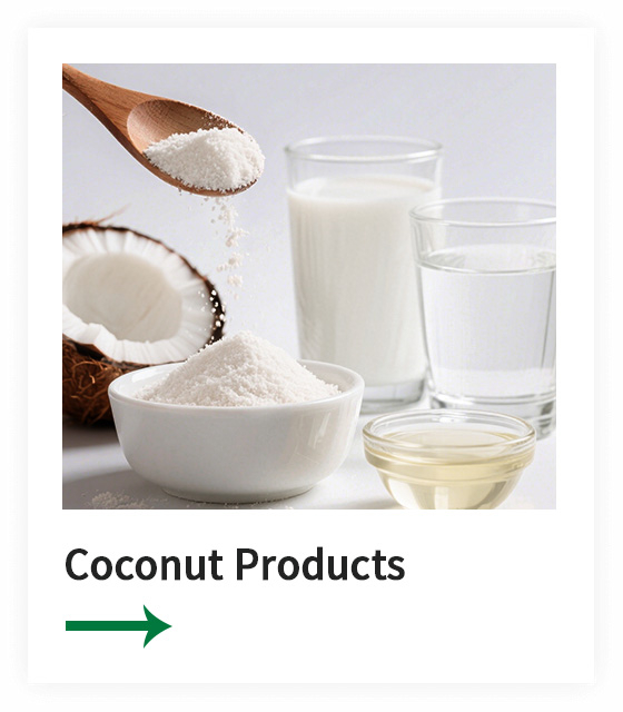 2025-Coconut Products
