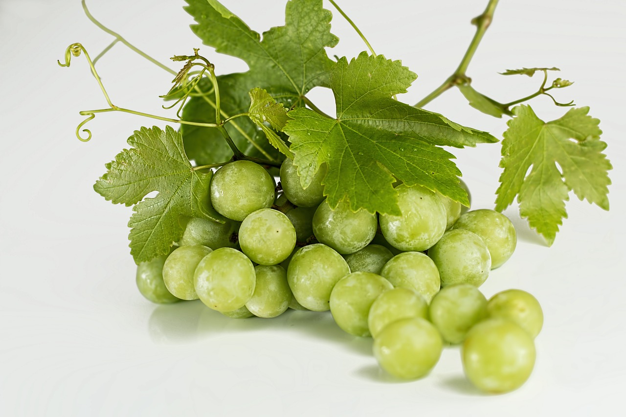grapes-582207_1280
