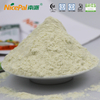 Green Papaya Powder