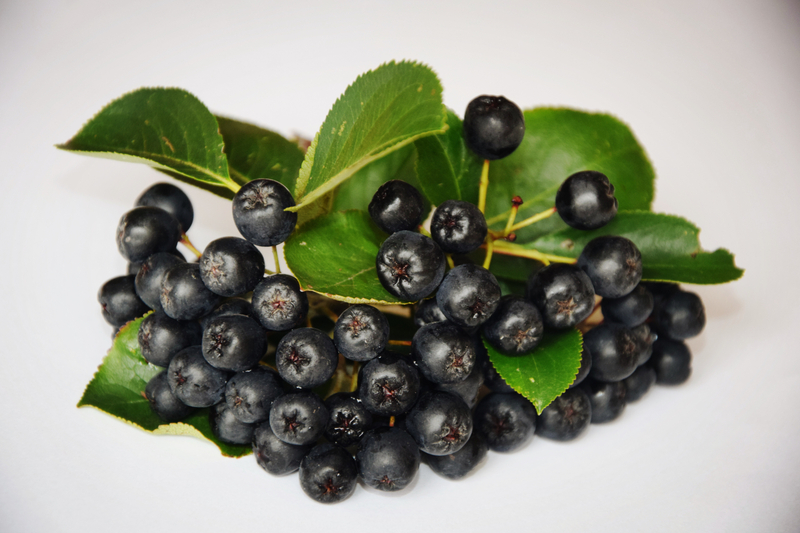NFC Frozen Chokeberry Pulp (Aronia)