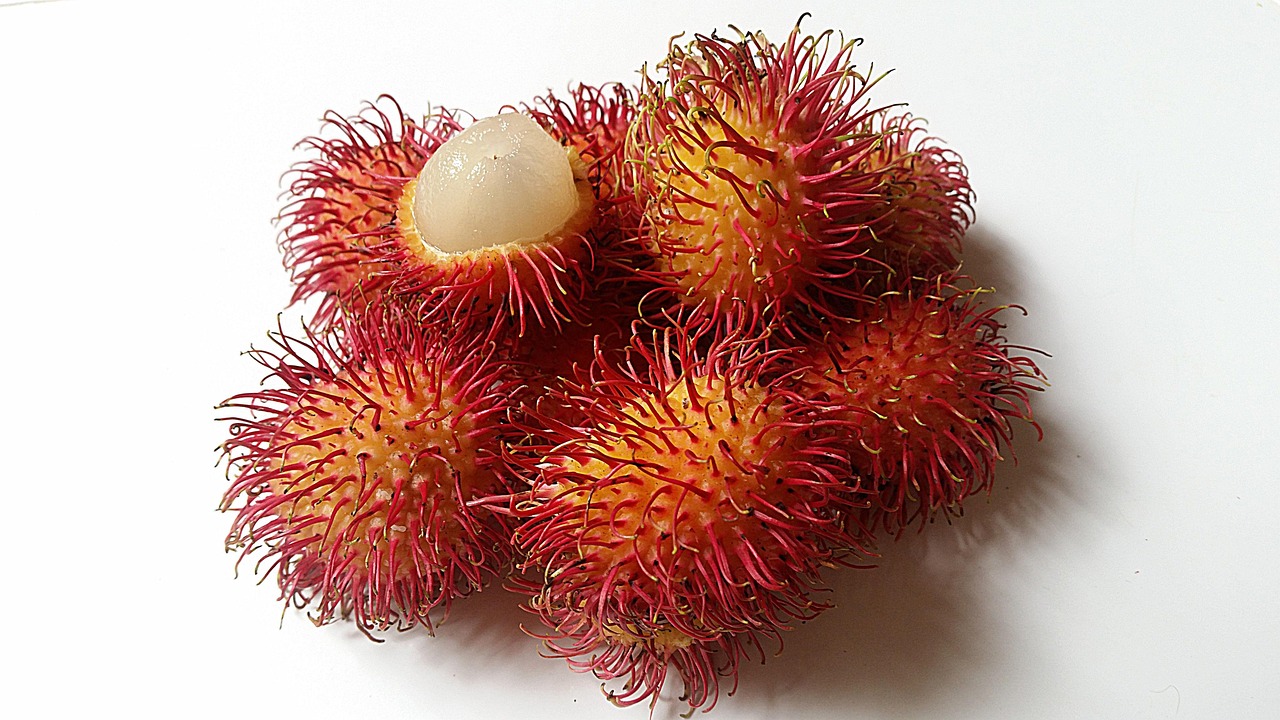 NFC Frozen Rambutan Pulp (Hairy Lychee)